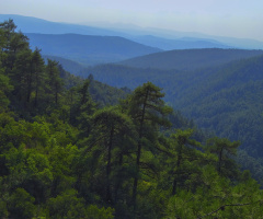 Dağlar