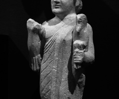 Tarihe bakış