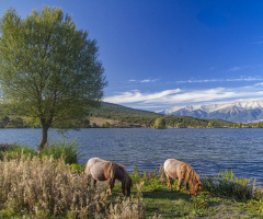 Gököz Göleti, Uludağ 