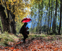 Dudaklı, Bursa
