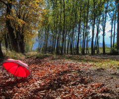 Dudaklı, Bursa