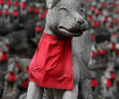 Reds