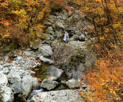 Autumn falls