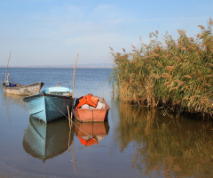 Kızıksa, Manyas
