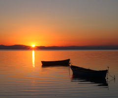 Kuş Cenneti, Bandırma