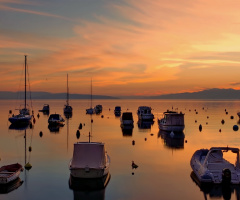 sunset  in  port