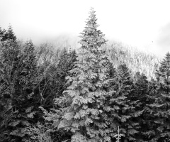 Powder snow