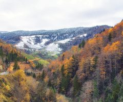 Kuzalan Tabiat Parkı - Giresun