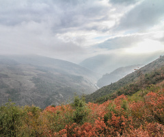 Dağlar 
