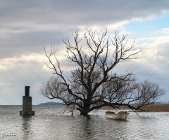 Uluabat