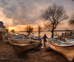 Gölyazı