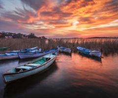 Gölyazı