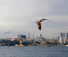 İstanbul...