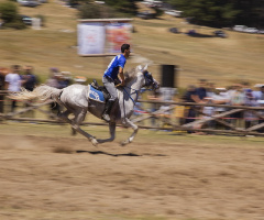 Cirit Sporcusu - Atlı - Pan