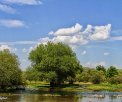Doğa / Osmaniye