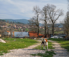 Köy; Mustafakemalpaşa Bursa