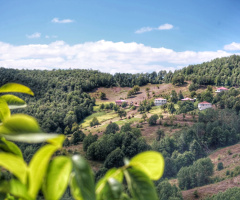 Köy