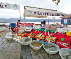 Balıkçı