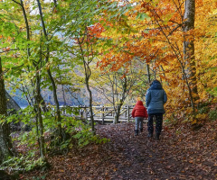 Yedigöller, Bolu  