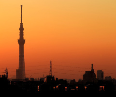 Orange sky