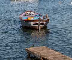 Kocaeli