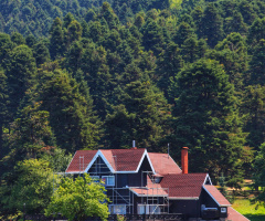 Bolu 