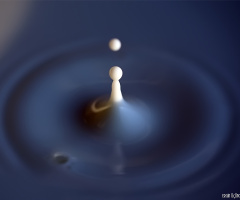 Milk Drop