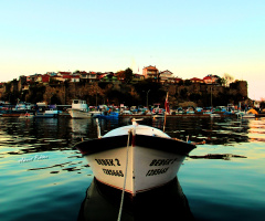 Balık Krallığı Amasra