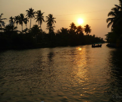 golden lights