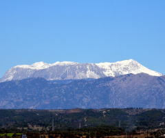 Toroslar