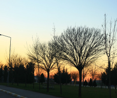 Gün Batımı 