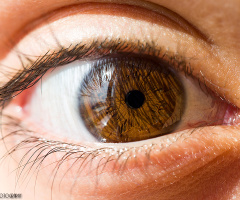 Macro Eye