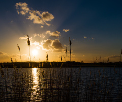 Spring Sunset