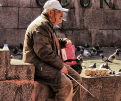 Güvercin çobanı