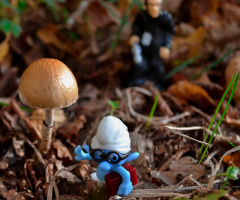 smurf