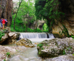 Yağmurda Değirmende