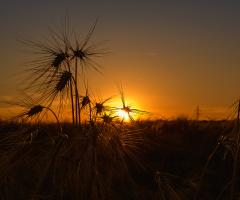 Summer... 