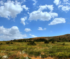 YAYLA
