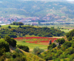 saklı güzellik