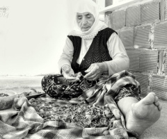 CEVİZ