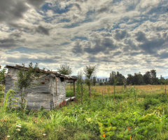 BAĞ EVİ   
