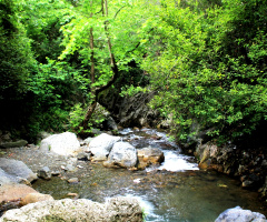 Şirin Su