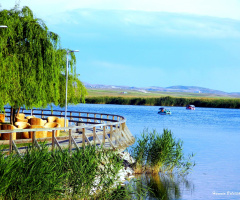 Mogan Gölü