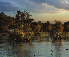Seyhan River, Bird Habitats
