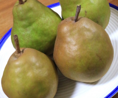 Two pair of pears