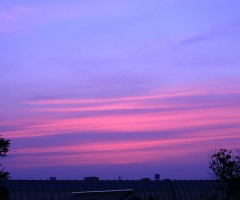 Pink & purple sky