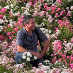 ali baloğlu