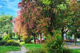 MY NEIGHBORHOOD 