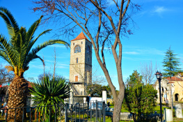 Manzara 