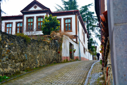 Manzara 
